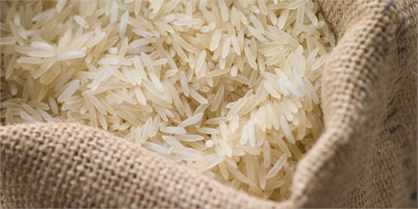 حذف واسطه‌ها راهکار کاهش قیمت برنج ایرانی
