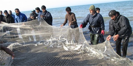 صید بیش از 2 هزار تن ماهی در میناب