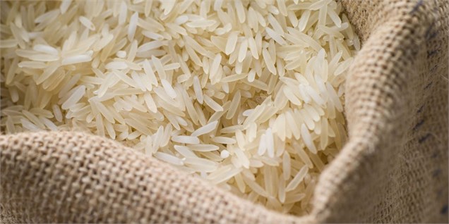آخرین قیمت برنج داخلی در میادین میوه و تره بار