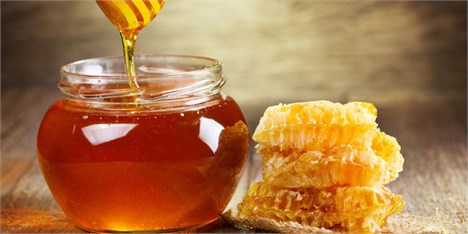 تولید بیش از 84 تن عسل در سیرجان