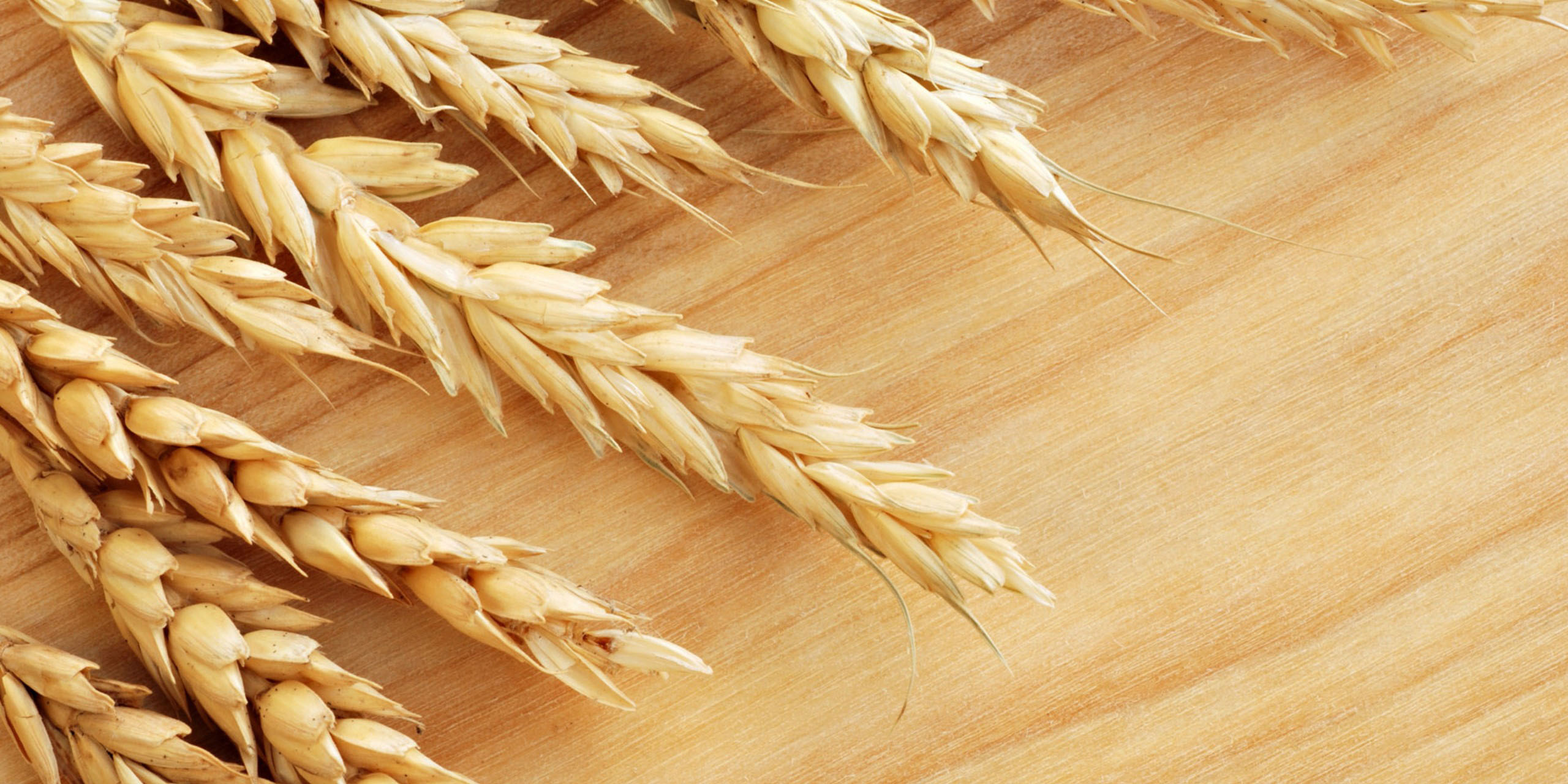 عرضه گندم خوراکی در قالب طرح قیمت تضمینی