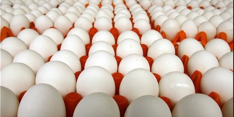 افزایش قیمت تخم مرغ در برخی مناطق تا ۱۵ هزار تومان