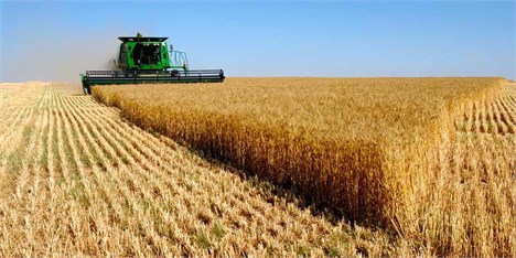 تجارت کالای کشاورزی ایران و اوکراین ۱ میلیارد دلاری می‌شود