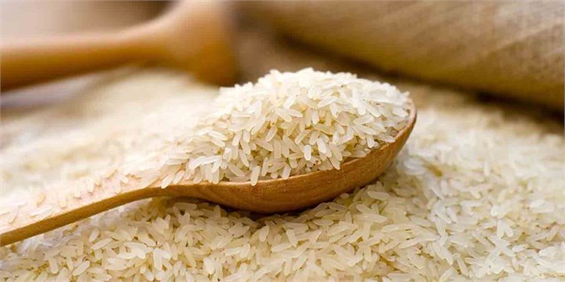 واردات بی‌حساب‌وکتاب برنج که ۱۶ درصد گران شد
