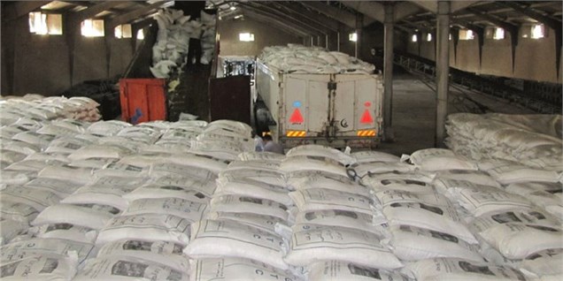 شرایط جدید واردات برنج