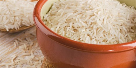 واردات کیوی صحت ندارد / کنترل واردت برنج در دستور کار قرار گرفت