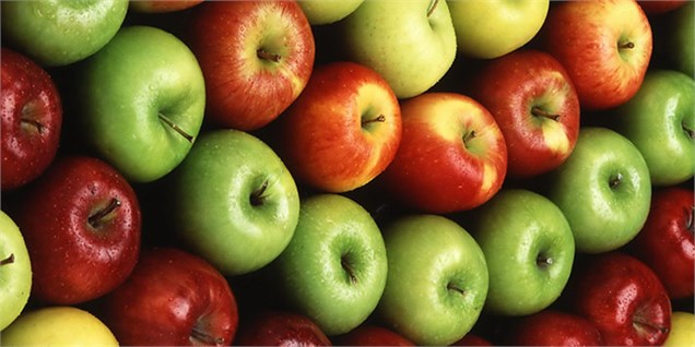 زخم بازار سیب بر دستان باغداران/ نگرانی باغداران از سیب موجود در سردخانه‌ها بالا گرفت