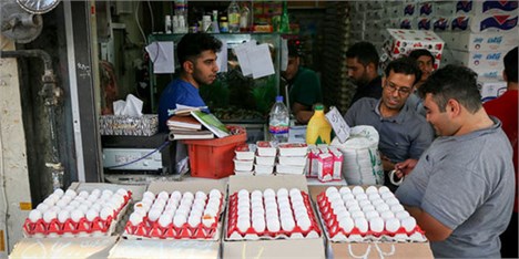 تداوم بی‌سامانی بازار نهاده‌های دامی/ قیمت تخم‌مرغ افزایش یافت