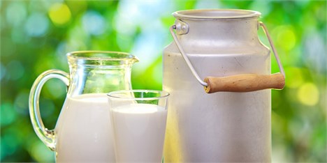 مطالبات دامداران به طور کامل پرداخت شد/ قیمت شیرخام افزایش یافت
شیر خوراکی