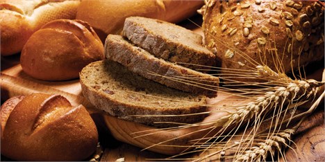مخالفت با کاهش یارانه نان