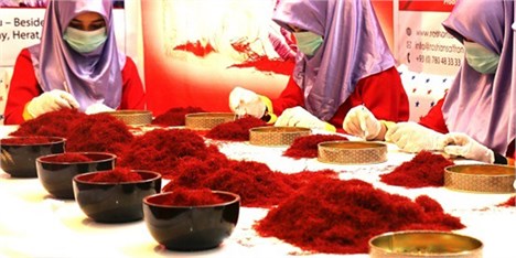 رشد 33 درصدی صادرات زعفران