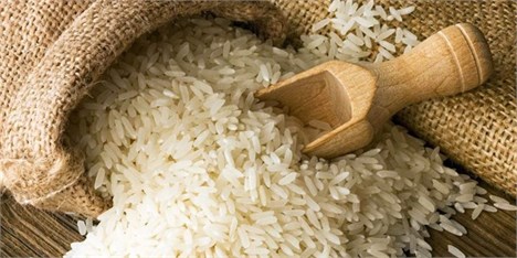 تنظیم بازار شب عید با برنج هندی و تایلندی/ بی‌توجهی به برنج داخلی