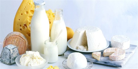 صادرات ۱۰ ملیون تن شیر تا پایان امسال