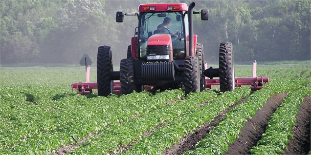 انتقاد کشاورزان از اعتبار خرید تضمینی محصولات کشاورزی در بودجه ۹۷