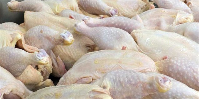 بازار مرغ به سبب افزایش عرضه نسبت به تقاضا تعریف چندانی ندارد