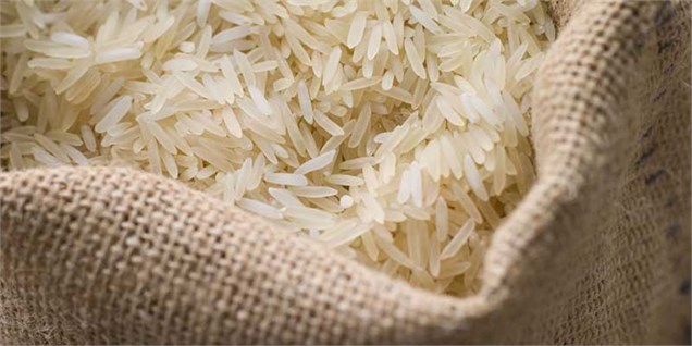 سرنوشت نامعلوم محموله وارداتی ۶۶۰هزار کیسه‌ برنج فاسد از اروگوئه‌