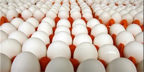 در سال 97  تولید ۹۰۰ هزارتن تخم‌مرغ پیش‌بینی شده است