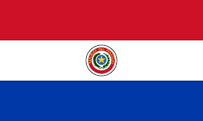انتخابات رئیس‌جمهوری در پاراگوئه
