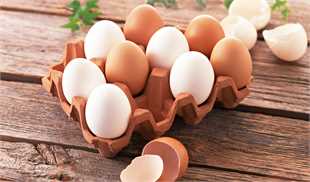 قیمت تخم‌مرغ در ماه مبارک رمضان افزایش نمی‌یابد