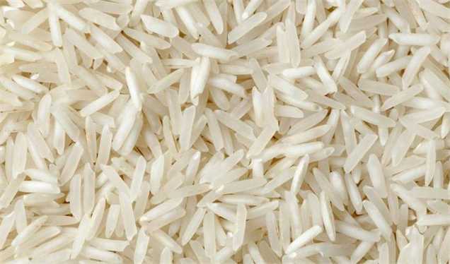 امسال واردات برنج  22 درصد کم شد