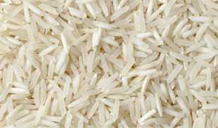 امسال واردات برنج  22 درصد کم شد