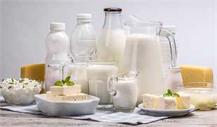 ضرورت افزایش قیمت خرید شیرخام/ حذف مشوق صادراتی لبنیات شایعه‌ است