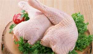 قیمت دستوری صنعت مرغ را نابود می‌کند
