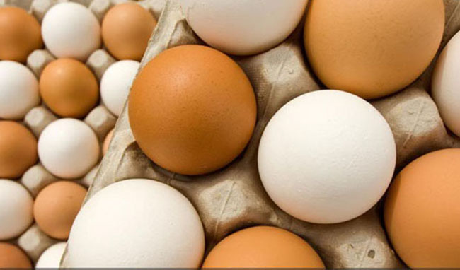 افت قیمت تخم مرغ در بازار با بازسازی مرغداری‌ها