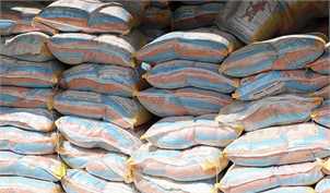 ۹۰۰ هزار تن برنج با ارز دولتی به کشور وارد شد