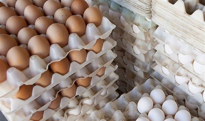 جهت تنظیم بازار  ۲۰۰۰ تن تخم مرغ ثبت سفارش شد