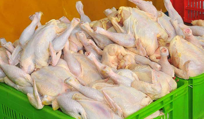 کاهش قیمت مرغ با افت تقاضا