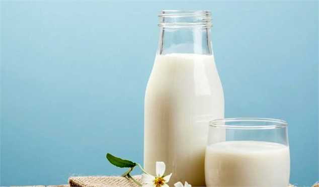تکذیب افزایش مجدد قیمت شیرخام