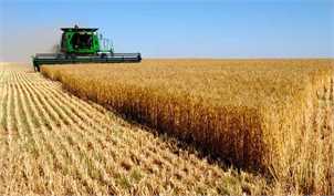 وابستگی بازار محصولات کشاورزی جهان به ایران