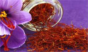 افزایش 40 درصدی صادرات زعفران