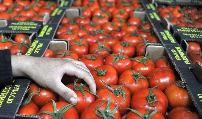بزودی مجوز صادرات 15 درصد از گوجه فرنگی خارج از فصل ابلاغ می‌شود