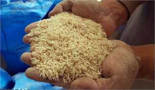 تاخیر در تخصیص ارز، بازار برنج را با مشکل روبرو می‌کند