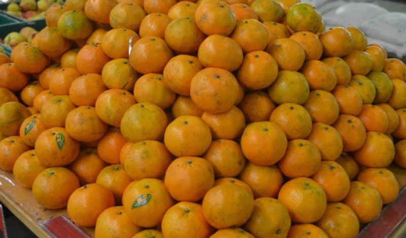 نگاه صادرکنندگان میوه پاکستان به بازار ایران