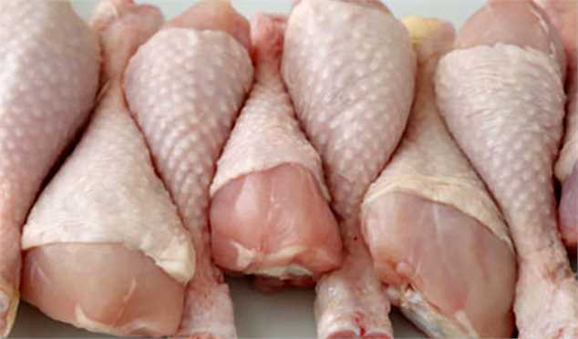 قیمت مرغ در بازار کاهش می‌یابد
