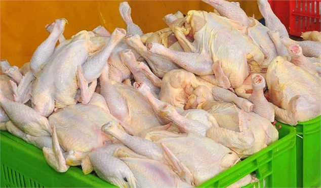 قیمت مرغ در بازار کاهش می‌یابد