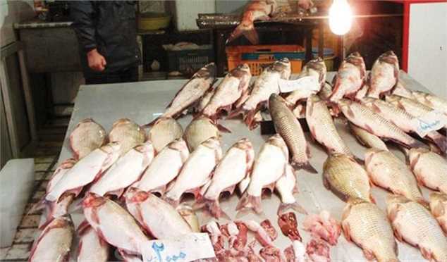 علت گرانی ماهی خوراکی
