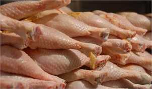 قطع عرضه مرغ 11 هزار و 500 تومانی/ واردات مرغ در حال انجام است