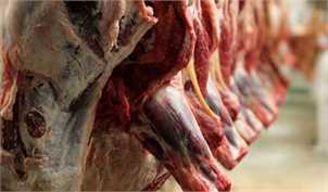 کاهش 5 هزار تومانی نرخ گوشت گوسفندی