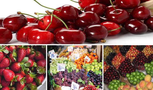 پیش بینی کاهش نرخ میوه‌های تابستانه در بازار/ کمبودی در عرضه میوه‌های باغی وجود ندارد