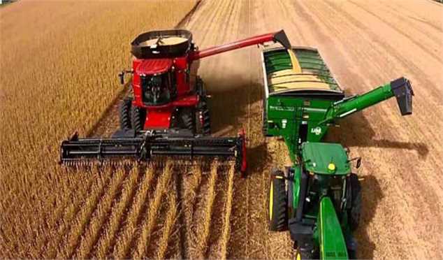 قائم‌مقام وزیر صنعت: وزارت کشاورزی در تنظیم بازار موفق عمل نکرد