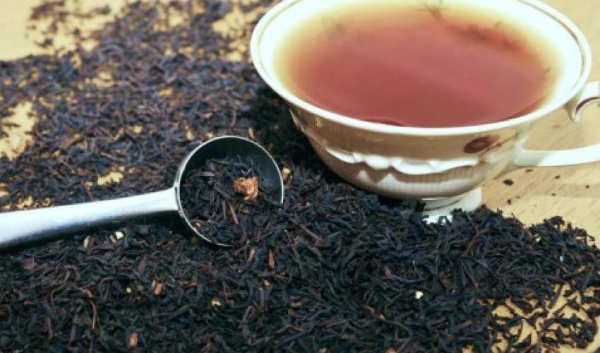 سالانه بیش از ۳۰۰ میلیون دلار چای خارجی وارد می‌شود