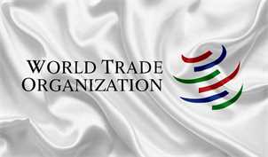 آماده سازی برای پیوستن به WTO