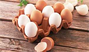 عرضه تخم مرغ با نرخ مصوب در فروشگاه‌های زنجیره‌ای از هفته آینده/ هر شانه ۳۰تایی شیرینگ‌پک شده ۱۹ هزارتومان