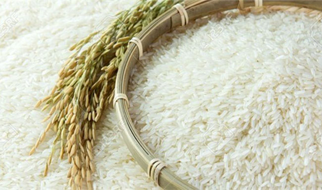 واردات ۵۰۰ هزارتن برنج به بهانه تنظیم بازار شب عید