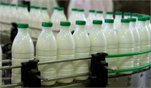 آغاز تخریب برندهای لبنی ایران در بازار صادراتی توسط رقبا/ بازگشت ۳ تا ۵ هزار تن شیر به کارخانه‌های لبنی در یک روز