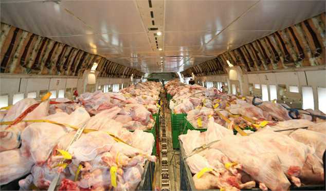 قیمت مرغ سقوط کرد / نرخ هر کیلو مرغ ۱۲ هزار و ۹۰۰ تومان